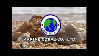 CORAL MINE.(CORAL- MINE) ITALIANO