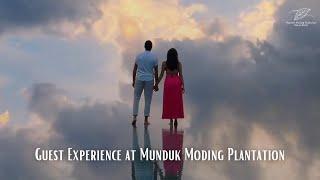The only coffee plantation resort in Bali