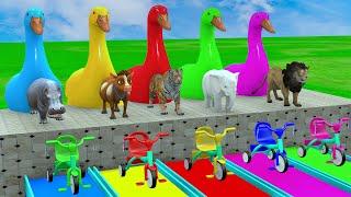 Long Slide Game With Cow Elephant Gorilla Hippopotamus Tiger 3d Animal Game Funny 3d Animals