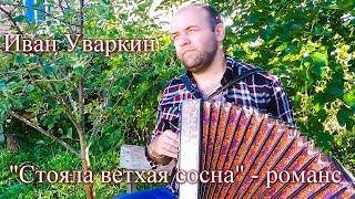 Песня под гармонь "Стояла ветхая сосна". Поёт Иван Уваркин. Russian folk song