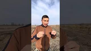 Биогумуспен айналысуға бәрін шақырам, призываю всех заниматься производством биогумуса‼️