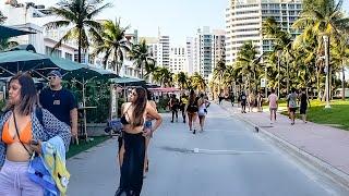 Walking KEY BISCAYNE Miami (Narrated Tour)