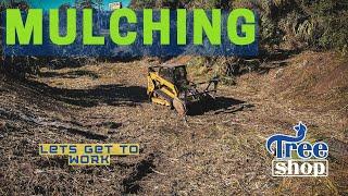 How to Clear Overgrown Land in Ocala Florida with Forestry Mulching-- FAST | Tree Shop