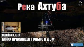 Фарм на уклейку • Таких трофеев только на доску • Река Ахтуба • Русская Рыбалка 4