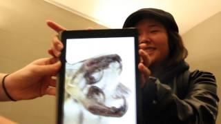 Henry Art Gallery Documentary Video