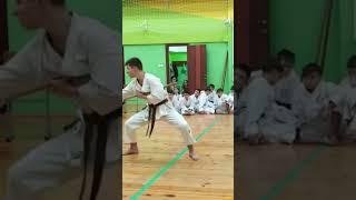 #shorts #kobudo #kobudodemonstration #kobujutsu #bo #кобудо #кобудзюцу #кобудоминск #yakusoku #fyp