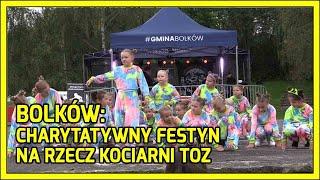 Bolków. Charytatywny festyn na rzecz kociarni TOZ