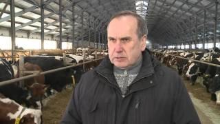 Российская Ассоциация производителей КРС голштинской породы