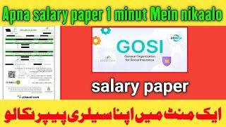 How Can I Get My Salary Paper Online |