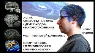 Гипотезы квантового сознания и критического мозга. Мозг – квантовый компьютер или усилитель хаоса?