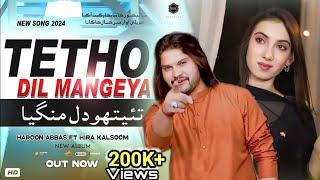 Tetho Dil Mangeya | Haroon Abbas Fet Hira Kalsoom |(Official Music Video 2024) Haroon Abbas Official