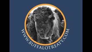 The Buffalo: A Treaty of Cooperation, Renewal and Restoration