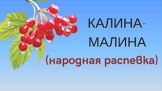 КАЛИНА-МАЛИНА народная распевка, распевание голоса. ЗАТЕЯ детский фольклорный ансамбль.