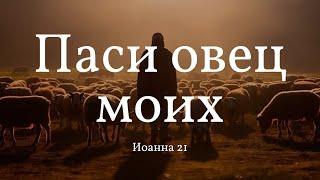 "Паси овец моих" | Алексей Коломийцев