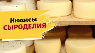 Знать рецепт сыра недостаточно. Важная теория сыроделия