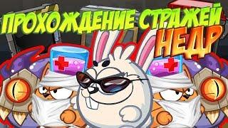 ПРОХОЖДЕНИЕ СТРАЖЕЙ НЕДР 2017