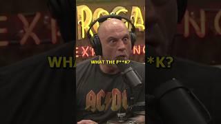 Anda Dapat Memiliki Serigala Sebagai Hewan Peliharaan - Joe Rogan