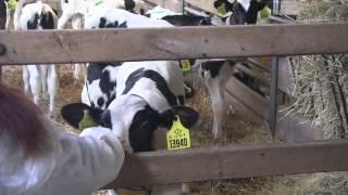 Ausbildungsberuf: Landwirt --- Aus der Kurzfilmreihe: Landwirtschaftsberufe von Agroplant-Film