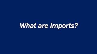 What are Imports?