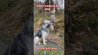 Jimmy entdeckt die Welt ON Tour mit Jimmy folgen sie uns um nichts zu verpassen 