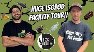 Thousands Of RARE ISOPODS At Incredible Isopod Facility!