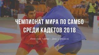 ФИНАЛЫ! Чемпионат мира по самбо среди кадетов 2018. День 2