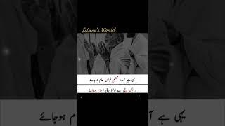 Taleem e Quran | islamic shorts