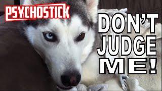 Psychostick - Dogs Like Socks [official music video] "I'm a dog and I like socks"