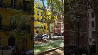 Walking in Avenida da Liberdade in Lisbon PORTUGAL #lisboa #shorts #lisbon #portugal