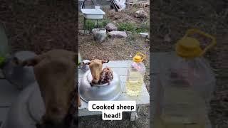 Sheep head is well done! #sheep #sheephead #village #kazakhstan #cooking #food #meat #travel