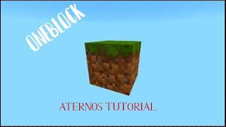  CÓMO JUGAR ONEBLOCK EN ATERNOS