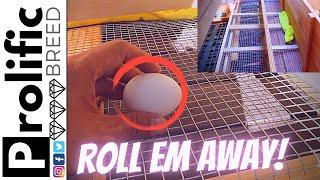 HOW TO DIY ROLL AWAY CHICKEN NESTING BOX