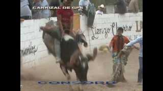 MONTA DE EDUARDO GONZALEZ DE PASTORA VS EL ESPANOL DEL MOLINO COLORADO