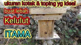 ukuran kotak lebah kelulut itama yg ideal . #kelulut #stinglessbee #lebah