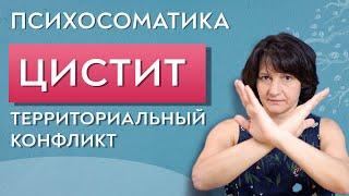 Цистит психосоматика. Территориальный конфликт.