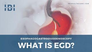 Animation What Is an EGD Procedure?