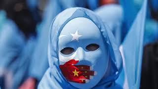 American DEBUNKS All Major Western Propaganda on Uyghurs and Xinjiang! (MIRROR)