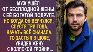 Муж ушёл от бесплодной жены к её богатой подруге. Но когда он вернулся к жене, то замер, увидев...