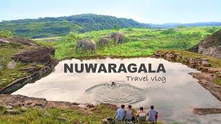 නුවරගල රහස් දොරටුව  | Nuwaragala Camping Adventure ️