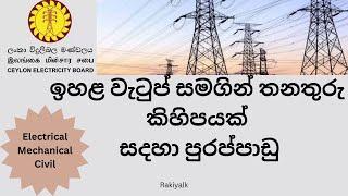 ලංකා විදුලිබල මණ්ඩලය Vacancies -2025