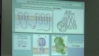 Носов А. М. - Физиология растений I - Минеральное питание, водный обмен растений