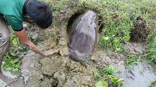 Amazing Boy Catching Fish In River Underground! Best Fishing video!