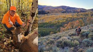 Utah Spike Elk Hunt 2023