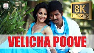 Ethir Neechal - Velicha Poove 8K/4K Video | Sivakarthikeyan, Priya Anand | Anirudh Ravichander