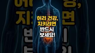 허리 건강 지키려면 반드시 보세요!  #건강 #건강정보 #허리