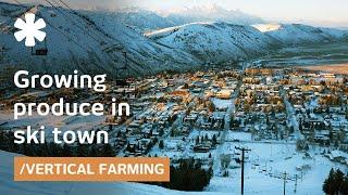 Ski town turns car park into vertical farm for local jobs/food