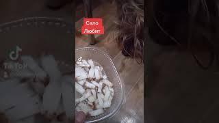 Сало любит.