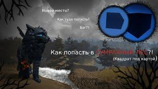 КАК ПОПАСТЬ В СУМРАЧНЫЙ ЛЕС В WC:UE?! | Баг/Объяснение | Warrior Cats: Ultimate Edition - Roblox