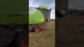 Прессуем сено #прессподборщик #claas #сенокос #полевые #мтз #farming