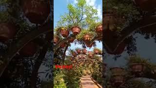 new mumbai shivaji nagar fames rambagh in mumbai